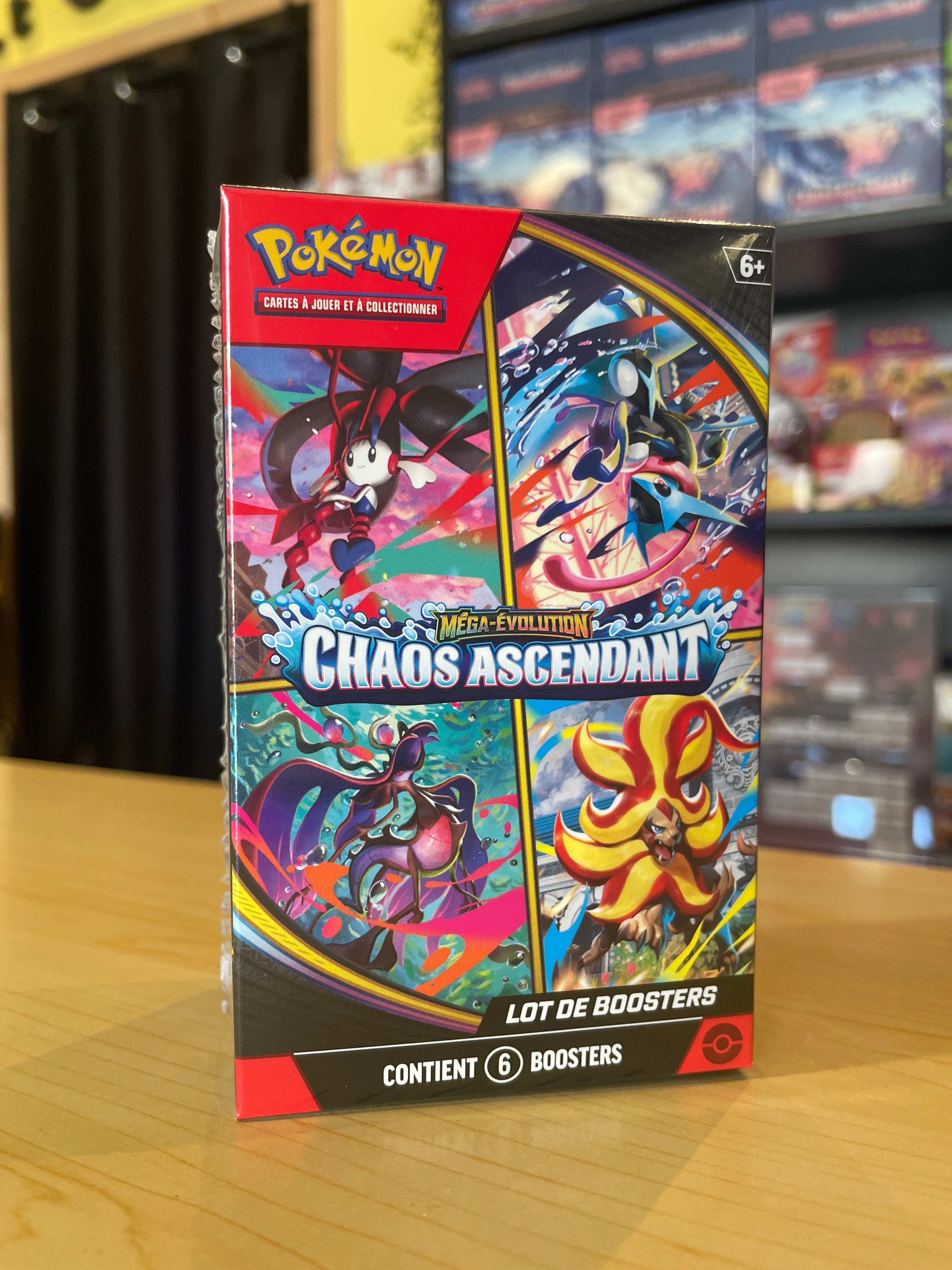 Bundle Chais Ascendant
